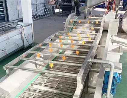 果蔬氣泡清洗機的原理是什么？